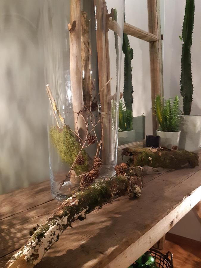 Chambres D'Hotes Herbes Folles Steenwerck エクステリア 写真